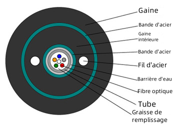 GYXYW Schéma de la structure du plan du câble à fibres optiques